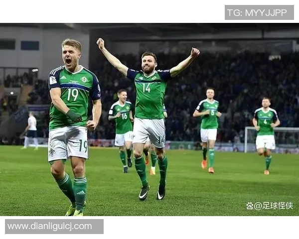 波兰与爱尔兰足球对决谁能在这场较量中胜出分析与预测