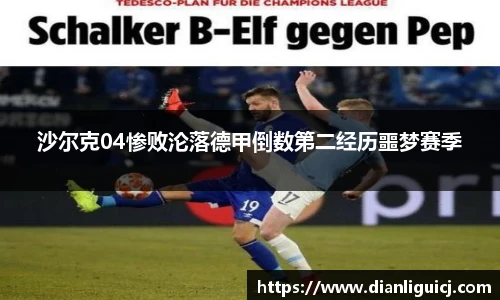 奇异果体育官方入口
