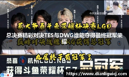 总决赛精彩对决TES与DWG谁能夺得最终冠军荣耀